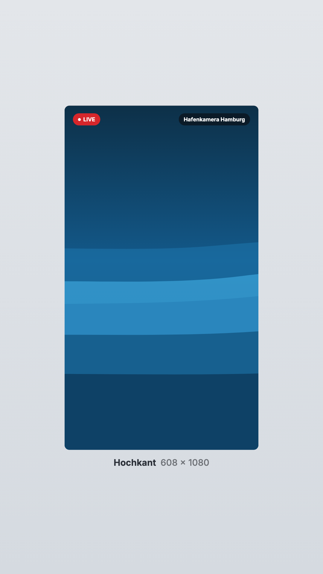 Live stream in the Portrait view