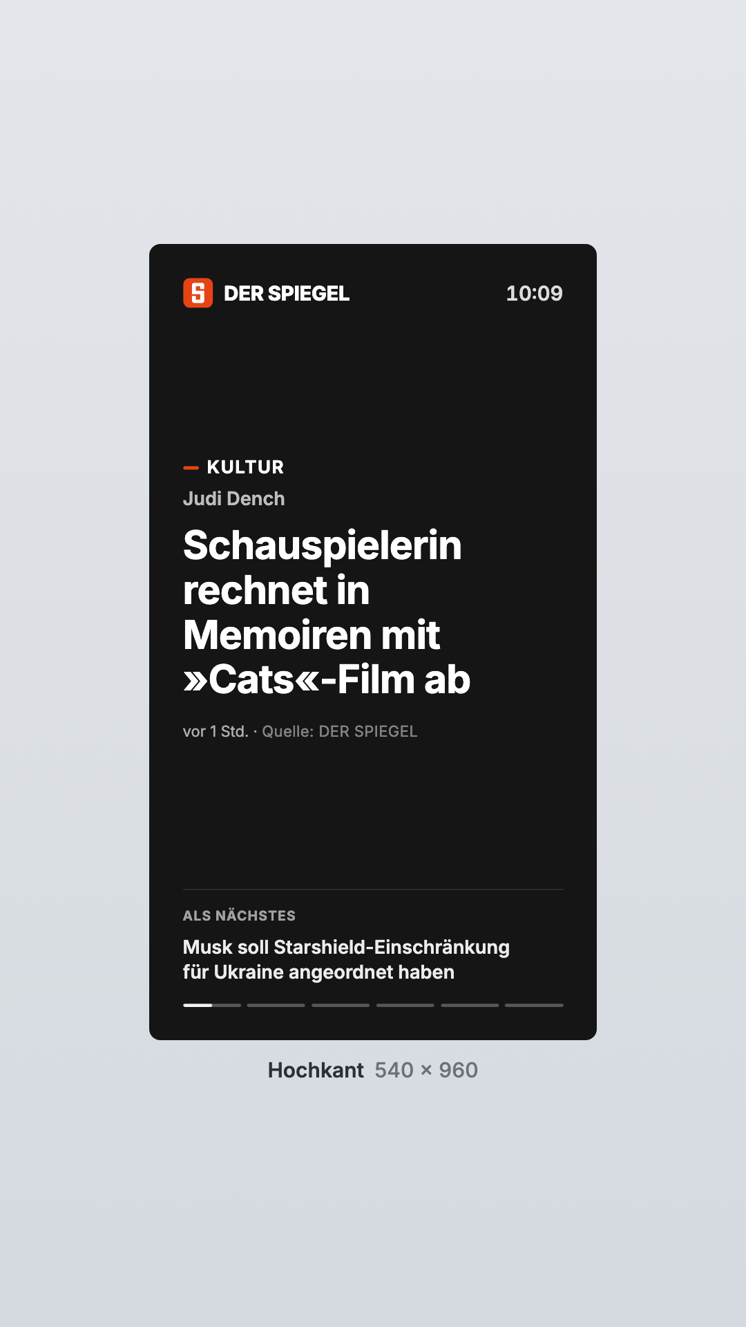 DER SPIEGEL in the Portrait view