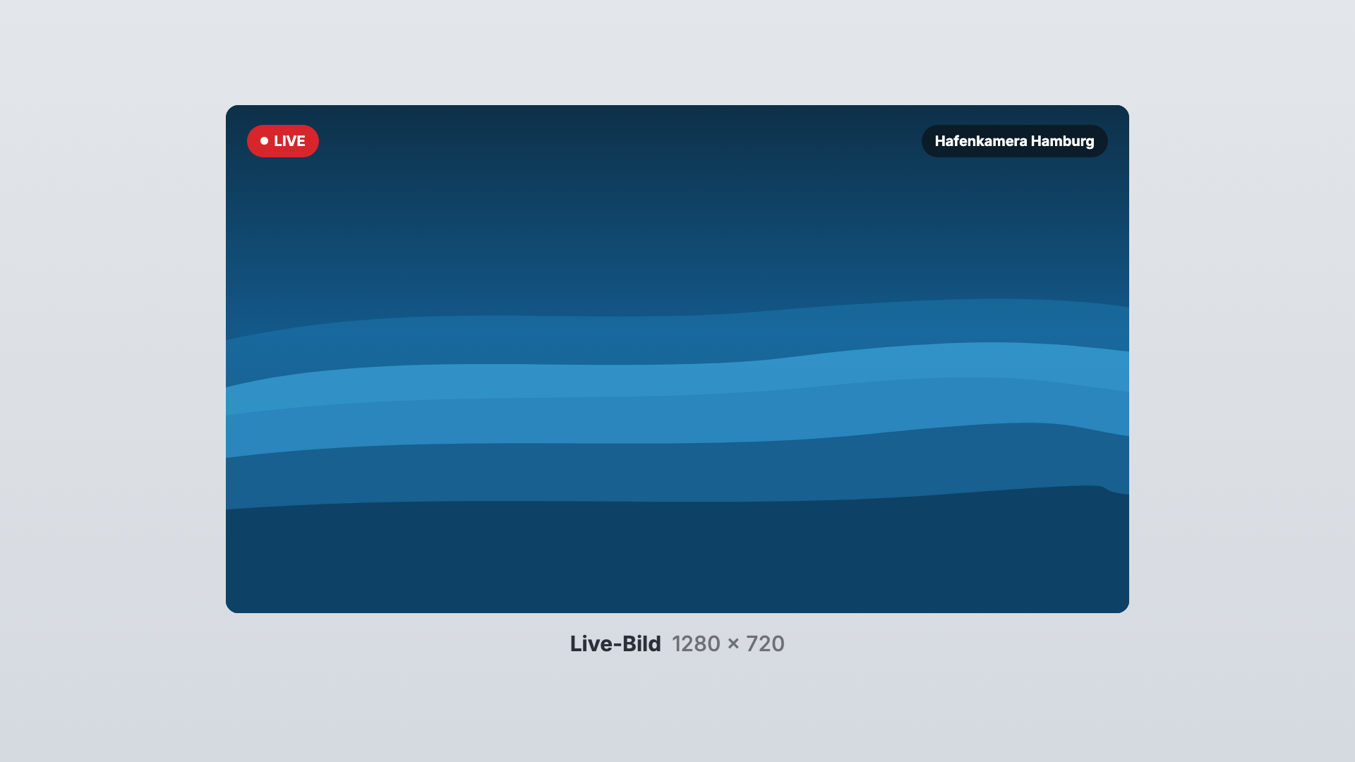 Live stream in the Live picture view